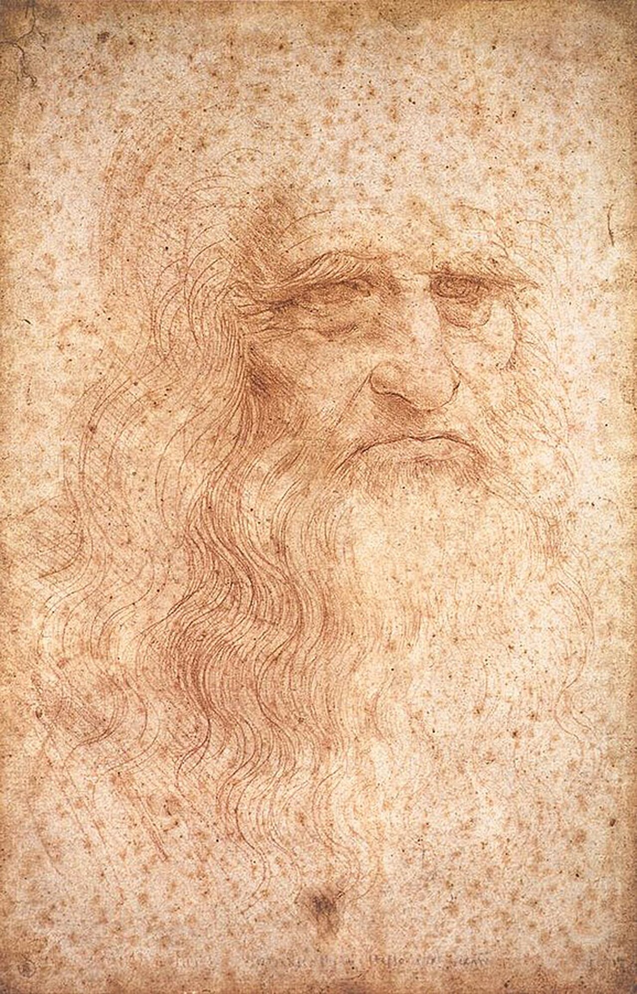 Presumed self-portrait of Leonardo da Vinci in red chalk
